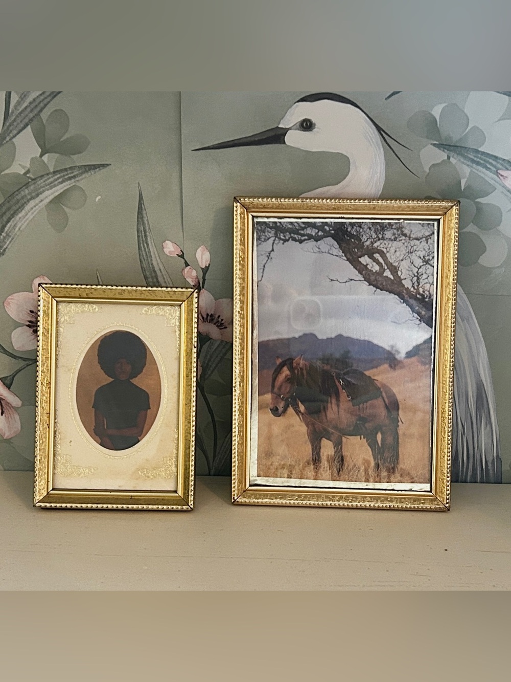 Matching Set of Vintage Gold Reeded Picture Frames featuring Magazine Art